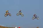 Taylor_BMX08_a03